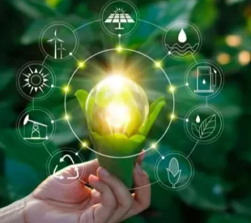 روشهای شیمیایی جدید برای تولید فومهای پلییورتان تجدیدپذیر 🧪