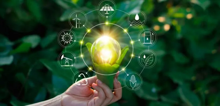 روشهای شیمیایی جدید برای تولید فومهای پلییورتان تجدیدپذیر 🧪