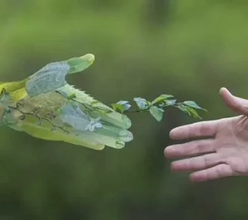 توسعه فوم های پلی یورتان پایدارتر و قابل بازیافت