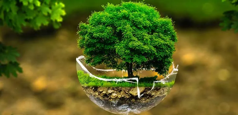 محصولات پلی اورتان کمک به ایجاد انرژی پایدار در آینده و کمک به حفظ