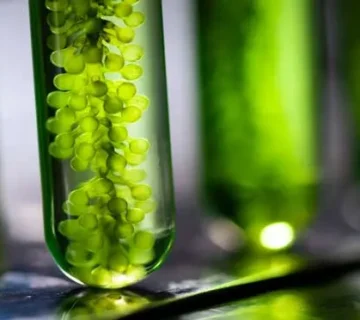 چالش ها و پیشرفت های اخیر در تولید ایزوسیانات مبتنی بر مواد زیستی