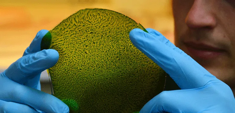 مروری بر بایومواد پلی یورتان و استفاده از آن در پزشکی