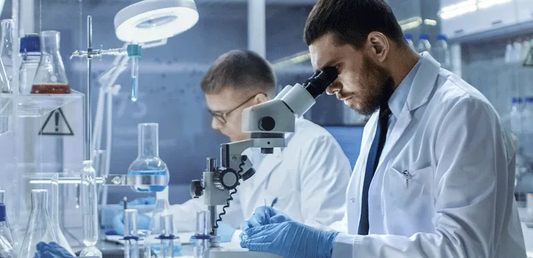 دانشمندان PUهای غیر ایزوسیاناتی خود فوم شونده را با استفاده از پرکننده‌های زباله‌های زیستی ایجاد می‌کنند