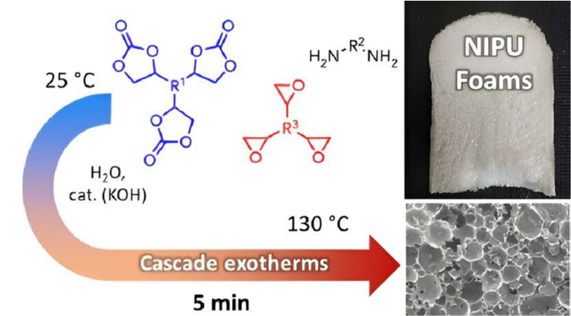 تولید سریع فوم های پلی یورتان زیست پایه و بدون ایزوسیانات در دمای محیط