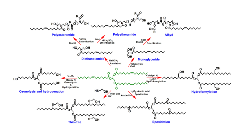 شماتیک واکنشهای مختلف روغنهای گیاهی