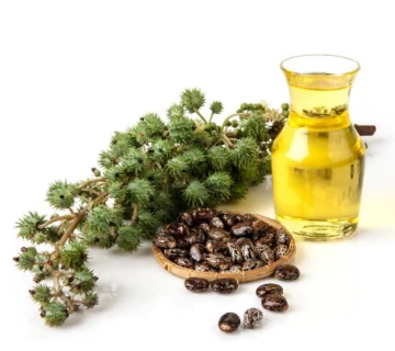 استفاده از پلی‌ال‌های تجدیدپذیر در چسبهای پلی‌یورتان