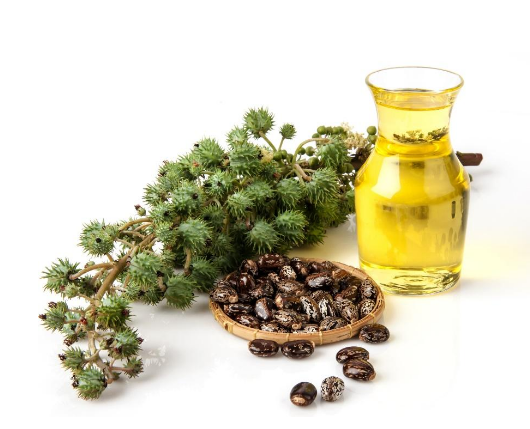 استفاده از پلی‌ال‌های تجدیدپذیر در چسبهای پلی‌یورتان