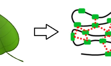 استفاده از دیالهای زیستپایه بعنوان گسترشدهنده زنجیره در سیستمهای پلییورتانی