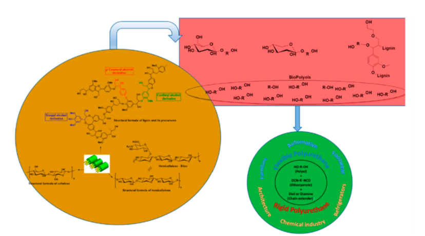 ساختار لیگنوسلولز زیست توده و فرمول ساختاری فوم های PU ]9[