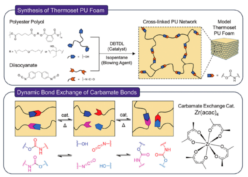 شکل 5. شماتیک روش سنتز فوم های PU، تبادل دینامیک باندها در فوم های PU و ساختار کاتالیزور کربامات ]14[.