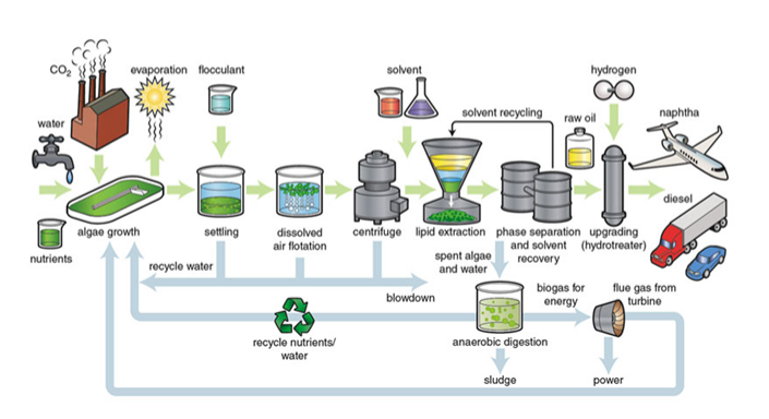 استفاده از روغن در تولید پلی‌ال‌های زیست‌پایه