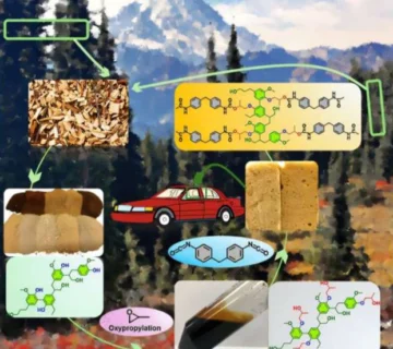 معرفی جایگزینی گیاهی برای سوخت‌های فسیلی در تولید فوم‌های پلاستیکی
