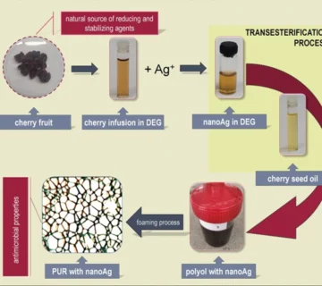 بیوفومهای پلییورتان بر پایه روغن دانه گیلاس