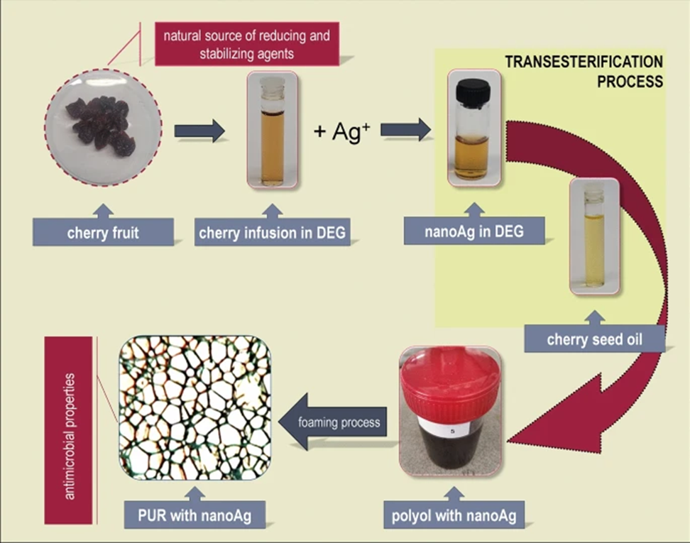 بیوفوم‌های پلی‌یورتان بر پایه روغن دانه گیلاس