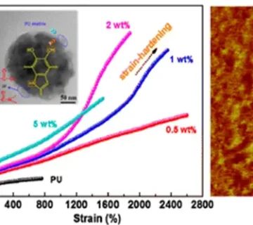 رنگدانه پوست میتواند به تقویت فومها و پارچهها کمک کند