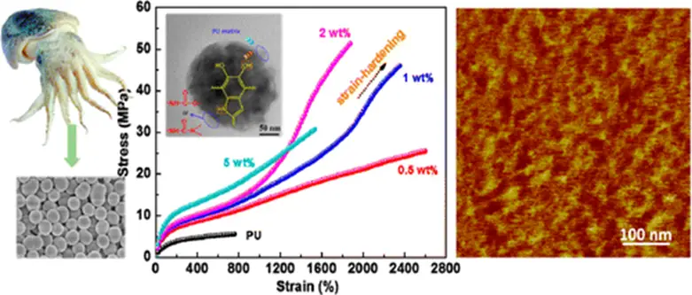 رنگدانه پوست میتواند به تقویت فومها و پارچهها کمک کند