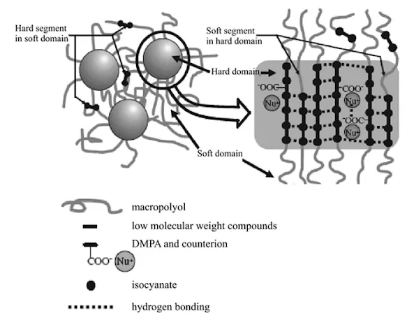 شکل 1 : ساختار شماتیک پلی‌یورتان آنیومر (Polyurethane Anionomer)