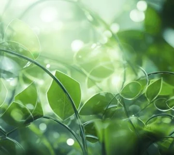 پلی کربنات دی ال با محتوای زیستی بیشتر