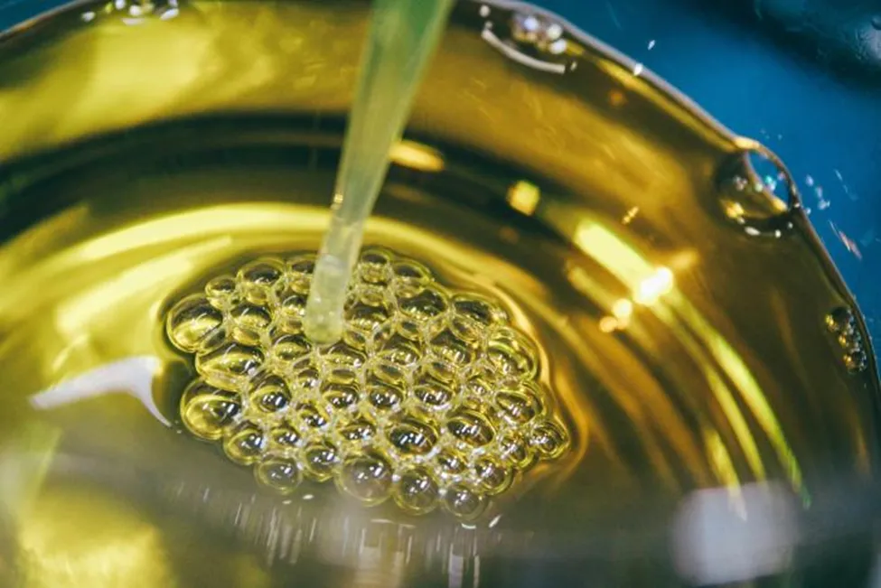 تولید فوم‌های انعطاف‌پذیر از روغن پخت‌وپز ضایعاتی